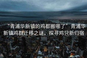 “青浦華新鎮(zhèn)的雞都搬哪了”青浦華新鎮(zhèn)雞群遷移之謎，探尋雞只新歸宿