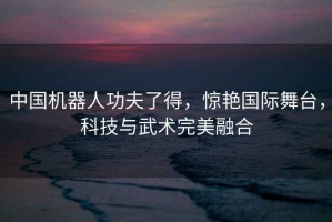 中國機器人功夫了得，驚艷國際舞臺，科技與武術(shù)完美融合