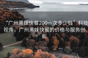 “廣州黑妹快餐200一次多少錢(qián)”科技視角，廣州黑妹快餐的價(jià)格與服務(wù)創(chuàng)新