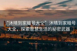 “沐晴到家暗號大全”沐晴到家暗號大全，探索智慧生活的秘密武器