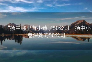 “揚中哪里有小巷子50公司”揚中小巷深處的50公司