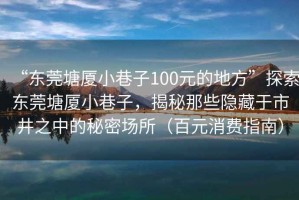 “東莞塘廈小巷子100元的地方”探索東莞塘廈小巷子，揭秘那些隱藏于市井之中的秘密場所（百元消費(fèi)指南）