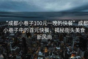 “成都小巷子100元一晚的快餐”成都小巷子中的百元快餐，揭秘街頭美食新風(fēng)尚