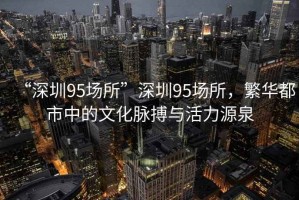 “深圳95場所”深圳95場所，繁華都市中的文化脈搏與活力源泉