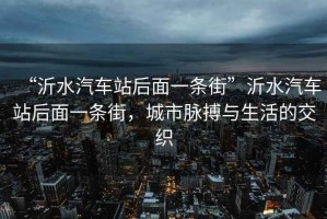“沂水汽車站后面一條街”沂水汽車站后面一條街，城市脈搏與生活的交織