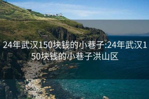 24年武漢150塊錢的小巷子:24年武漢150塊錢的小巷子洪山區(qū)