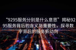 “9295服務(wù)分別是什么意思”揭秘9295服務(wù)背后的含義與重要性，探尋數(shù)字背后的服務(wù)新動向