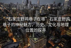 “石家莊野雞巷子在哪”石家莊野雞巷子的神秘魅力，歷史、文化與地理位置的探尋