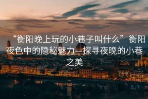 “衡陽晚上玩的小巷子叫什么”衡陽夜色中的隱秘魅力—探尋夜晚的小巷之美