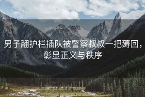 男子翻護(hù)欄插隊被警察叔叔一把薅回，彰顯正義與秩序