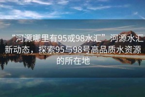 “河源哪里有95或98水匯”河源水匯新動態(tài)，探索95與98號高品質水資源的所在地