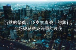沉默的祭奠，18歲禁毒戰(zhàn)士的葬禮，全場(chǎng)被馬賽克籠罩的哀傷