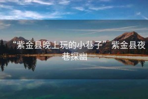 “紫金縣晚上玩的小巷子”紫金縣夜巷探幽