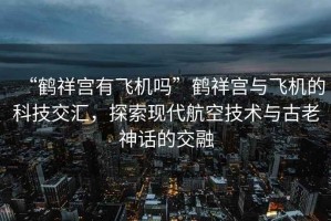“鶴祥宮有飛機嗎”鶴祥宮與飛機的科技交匯，探索現(xiàn)代航空技術與古老神話的交融