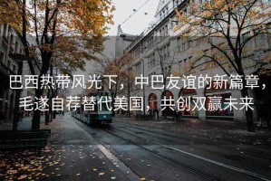 巴西熱帶風(fēng)光下，中巴友誼的新篇章，毛遂自薦替代美國，共創(chuàng)雙贏未來