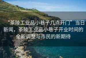 “茶陵工業(yè)品小巷子幾點開門”當日新聞，茶陵工業(yè)品小巷子開業(yè)時間的全新調整與市民的新期待