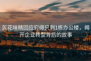 蓮花味精回應窮得只剩1棟辦公樓，揭開企業(yè)轉型背后的故事
