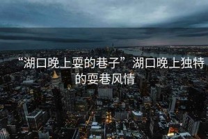 “湖口晚上耍的巷子”湖口晚上獨(dú)特的耍巷風(fēng)情