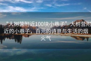 “大樹(shù)營(yíng)附近100塊小巷子”大樹(shù)營(yíng)附近的小巷子，百元的詩(shī)意與生活的煙火氣