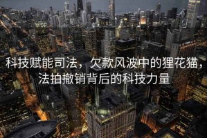 科技賦能司法，欠款風(fēng)波中的貍花貓，法拍撤銷(xiāo)背后的科技力量