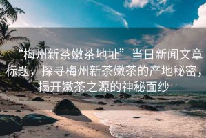 “梅州新茶嫩茶地址”當日新聞文章標題，探尋梅州新茶嫩茶的產(chǎn)地秘密，揭開嫩茶之源的神秘面紗