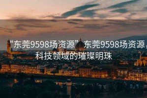 “東莞9598場資源”東莞9598場資源，科技領(lǐng)域的璀璨明珠