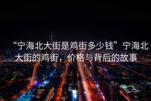 “寧海北大街是雞街多少錢”寧海北大街的雞街，價(jià)格與背后的故事