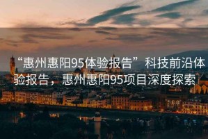“惠州惠陽95體驗(yàn)報(bào)告”科技前沿體驗(yàn)報(bào)告，惠州惠陽95項(xiàng)目深度探索