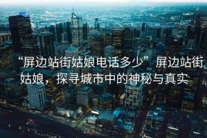 “屏邊站街姑娘電話多少”屏邊站街姑娘，探尋城市中的神秘與真實