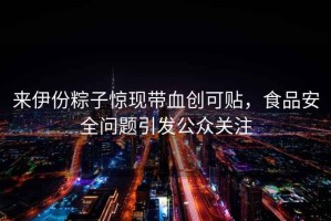 來伊份粽子驚現(xiàn)帶血創(chuàng)可貼，食品安全問題引發(fā)公眾關(guān)注