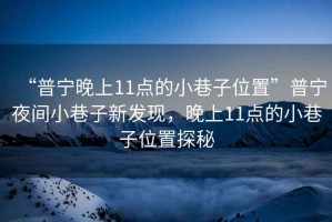 “普寧晚上11點的小巷子位置”普寧夜間小巷子新發(fā)現，晚上11點的小巷子位置探秘