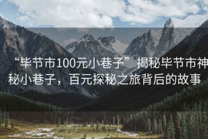 “畢節(jié)市100元小巷子”揭秘畢節(jié)市神秘小巷子，百元探秘之旅背后的故事