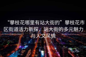 “攀枝花哪里有站大街的”攀枝花市區(qū)街道活力新探，站大街的多元魅力與人文風(fēng)情