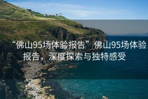 “佛山95場體驗報告”佛山95場體驗報告，深度探索與獨特感受