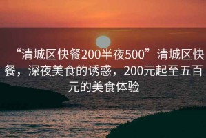 “清城區(qū)快餐200半夜500”清城區(qū)快餐，深夜美食的誘惑，200元起至五百元的美食體驗(yàn)