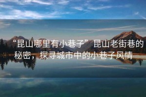 “昆山哪里有小巷子”昆山老街巷的秘密，探尋城市中的小巷子風(fēng)情