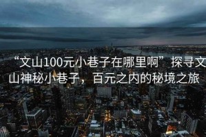“文山100元小巷子在哪里啊”探尋文山神秘小巷子，百元之內(nèi)的秘境之旅
