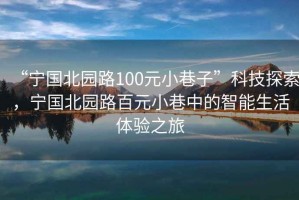“寧國北園路100元小巷子”科技探索，寧國北園路百元小巷中的智能生活體驗之旅