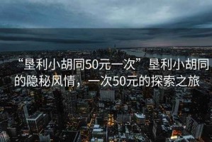“墾利小胡同50元一次”墾利小胡同的隱秘風(fēng)情，一次50元的探索之旅