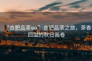 “合肥品茶wx”合肥品茶之旅，茶香四溢的秋日畫卷