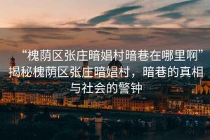 “槐蔭區(qū)張莊暗娼村暗巷在哪里啊”揭秘槐蔭區(qū)張莊暗娼村，暗巷的真相與社會(huì)的警鐘
