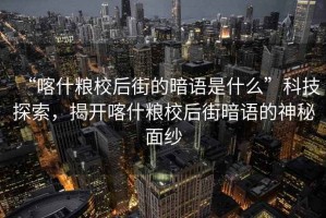 “喀什糧校后街的暗語(yǔ)是什么”科技探索，揭開(kāi)喀什糧校后街暗語(yǔ)的神秘面紗