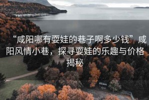 “咸陽哪有耍娃的巷子啊多少錢”咸陽風情小巷，探尋耍娃的樂趣與價格揭秘