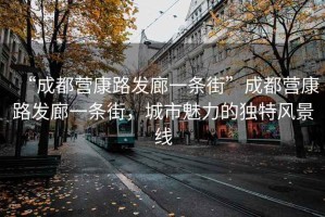 “成都營(yíng)康路發(fā)廊一條街”成都營(yíng)康路發(fā)廊一條街，城市魅力的獨(dú)特風(fēng)景線(xiàn)