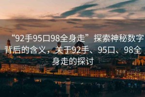 “92手95口98全身走”探索神秘?cái)?shù)字背后的含義，關(guān)于92手、95口、98全身走的探討