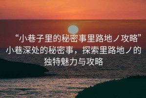 “小巷子里的秘密事里路地ノ攻略”小巷深處的秘密事，探索里路地ノ的獨(dú)特魅力與攻略