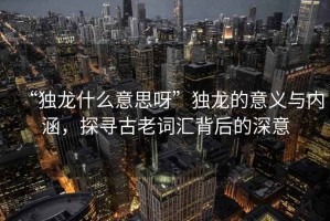 “獨(dú)龍什么意思呀”獨(dú)龍的意義與內(nèi)涵，探尋古老詞匯背后的深意