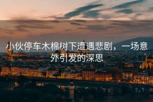 小伙停車(chē)木棉樹(shù)下遭遇悲劇，一場(chǎng)意外引發(fā)的深思