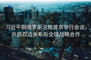 習近平同俄羅斯總統(tǒng)普京舉行會談，共商雙邊關系與全球戰(zhàn)略合作