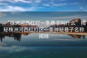 “株洲河西紅燈一條巷子叫什么”揭秘株洲河西紅燈區(qū)一條神秘巷子名稱揭曉